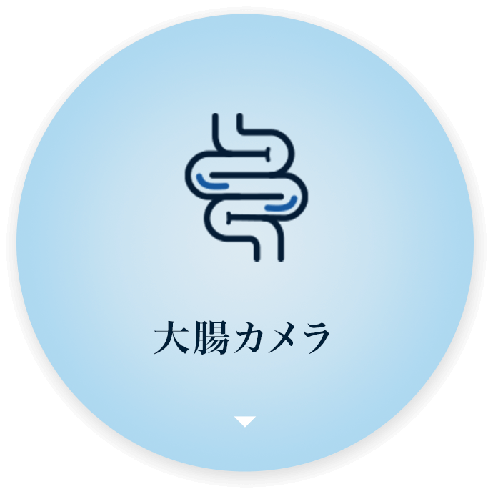 大腸カメラ